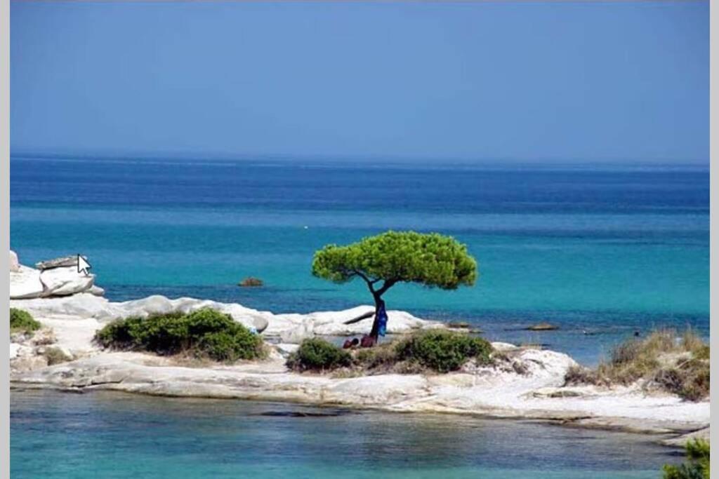 Nefolia Villa Vourvourou Bagian luar foto