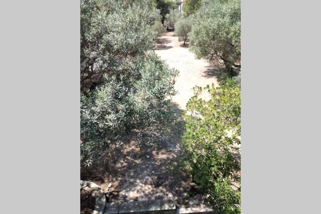 Nefolia Villa Vourvourou Bagian luar foto